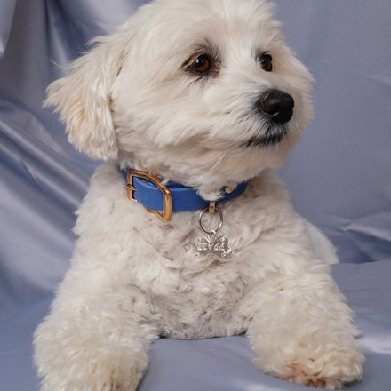 Custom sterling silver pet ID tag with engraved name and CZ gemstone color, shown on white background