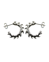Thorny Hoops