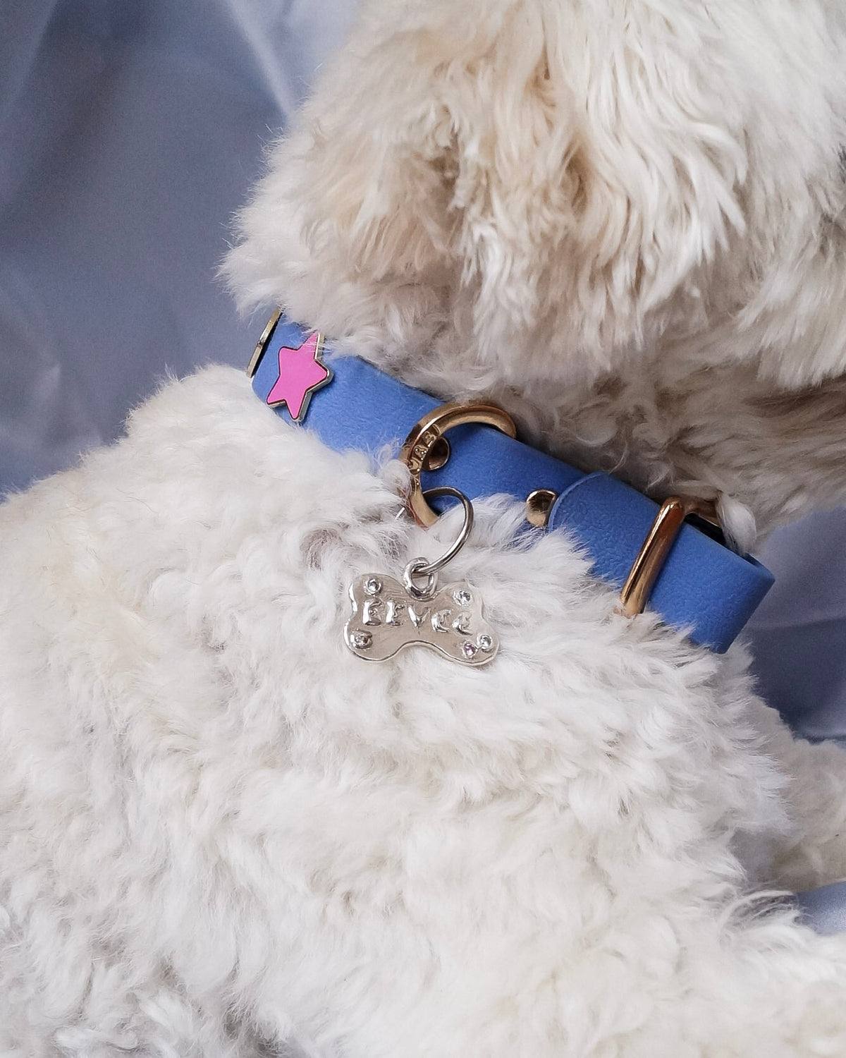 Blue dog collar with a star and bone-shaped tag on a fluffy white dog. custom pet tag with pastel CZ gemstone colors, sterling silver material